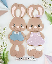Load image into Gallery viewer, Easter In Person Cookie Class